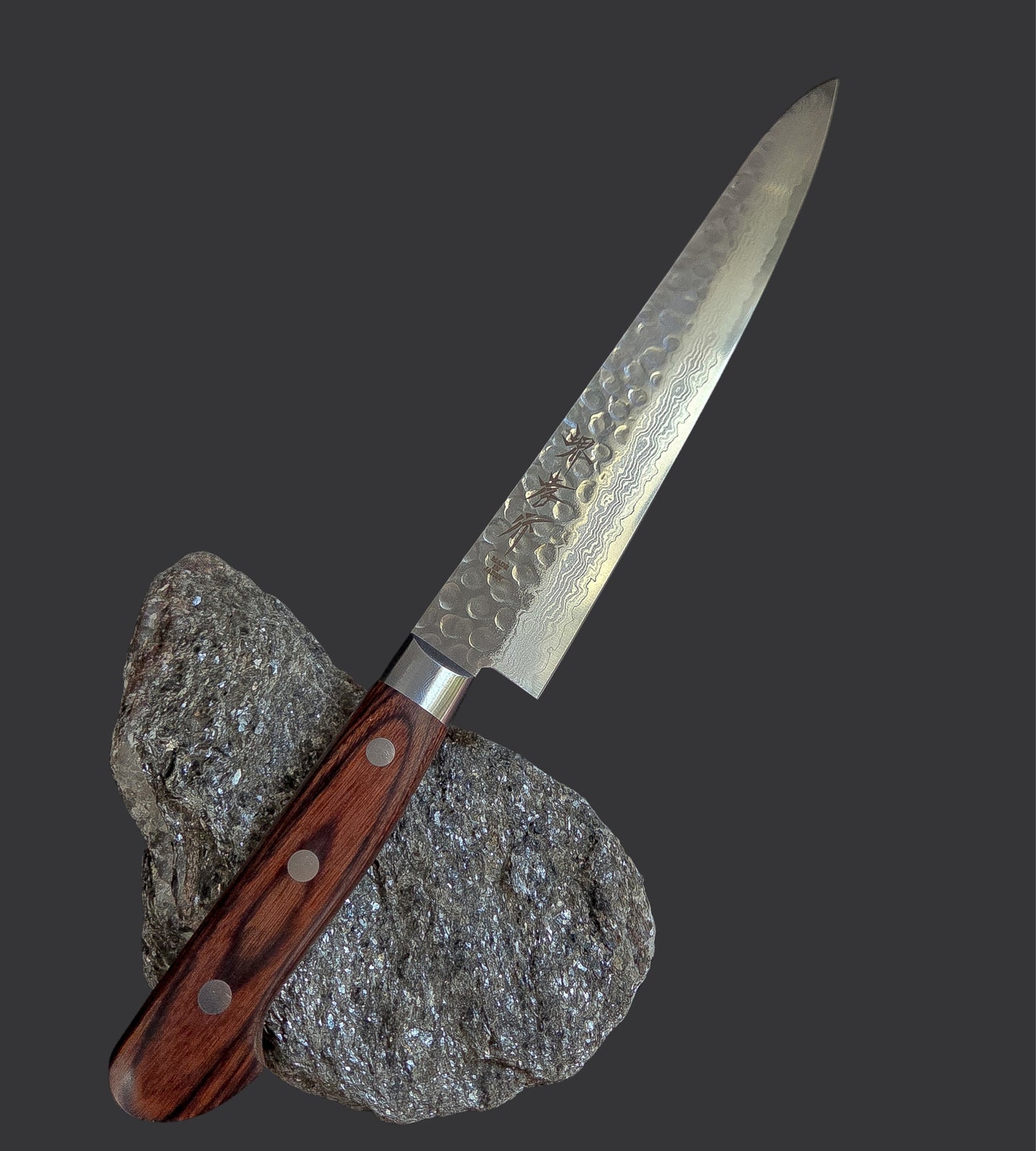 Sakai Takayuki VG-10 17 Layer Hammered Damascus Sujihiki 240mm